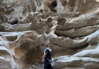 Photo of Mina Ghorbanifarajzadeh, D.M.D.